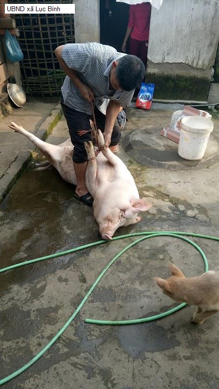 UBND xã Lục Bình