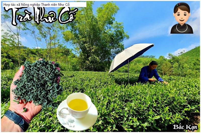 Hợp tác xã Nông nghiệp Thanh niên Như Cố